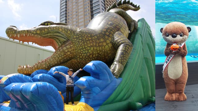 サンシャインシティpresents ワニさんスライダーが登場!