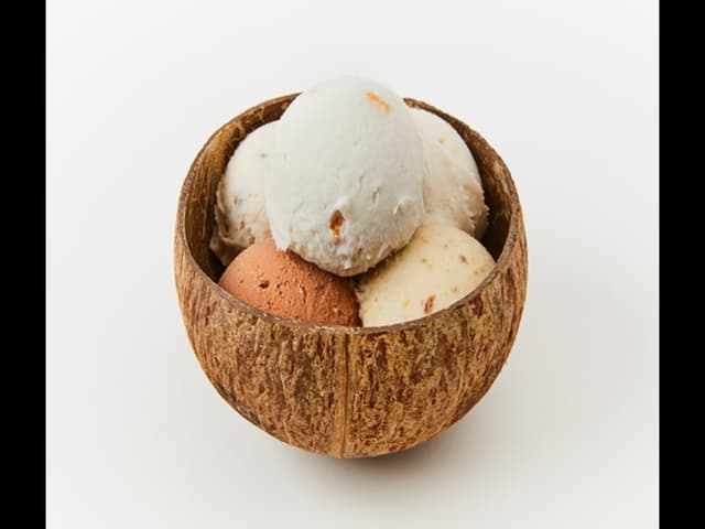 【1/7のみ】ココナッツグレン ココナッツアイス 5スクープ