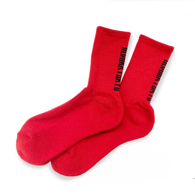 ロゴソックス(RED)