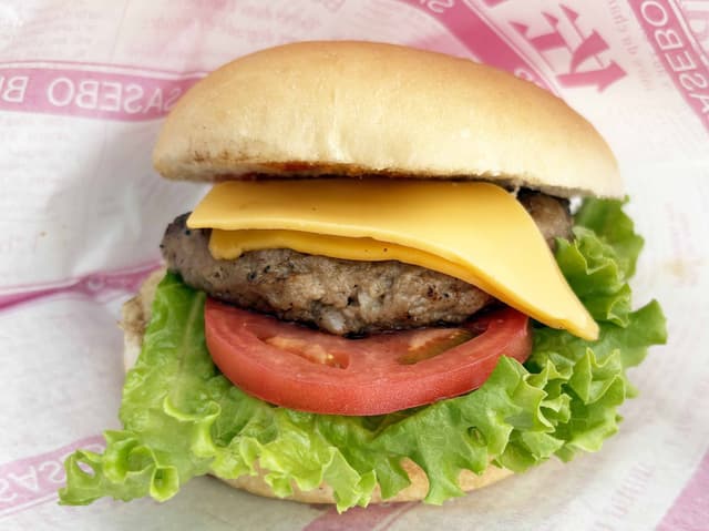 クリスマススライダー