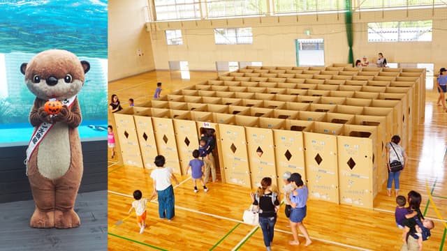 ダンボール迷路登場!