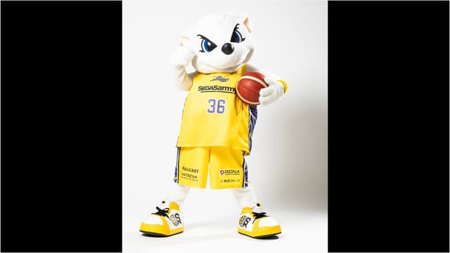 サンディー来場