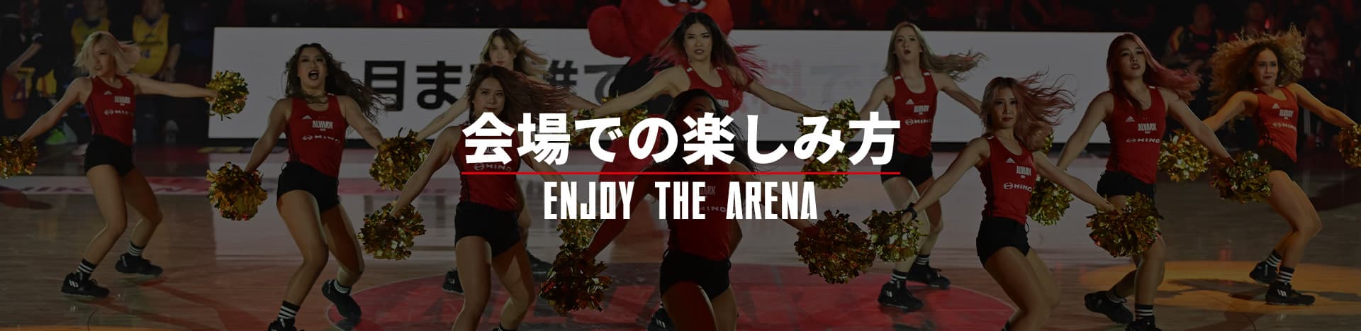 会場での楽しみ方