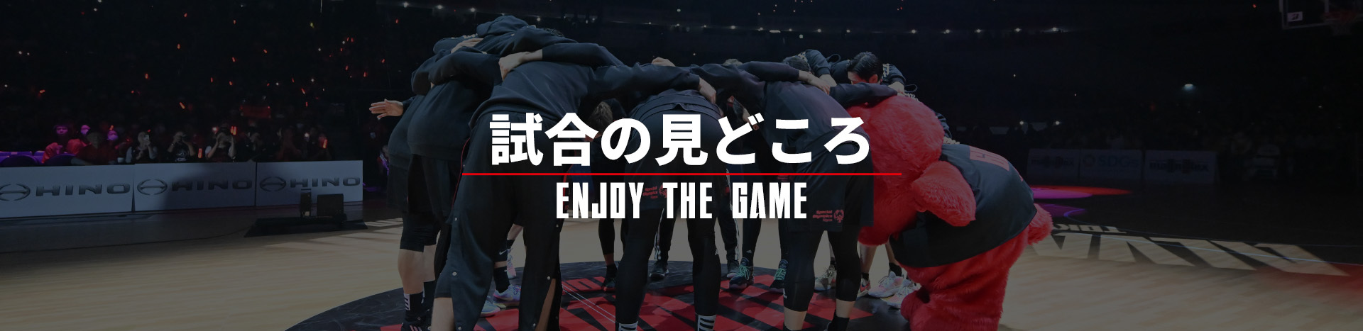 試合の楽しみ方